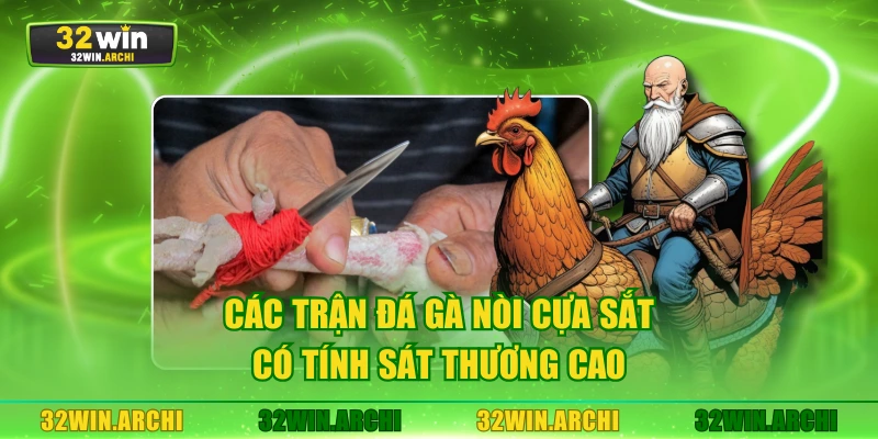 Các trận đá gà nòi cựa sắt có tính sát thương cao