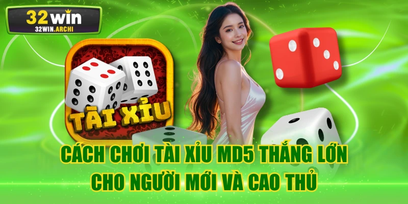 Cách Chơi Tài Xỉu MD5 Thắng Lớn Cho Người Mới Và Cao Thủ