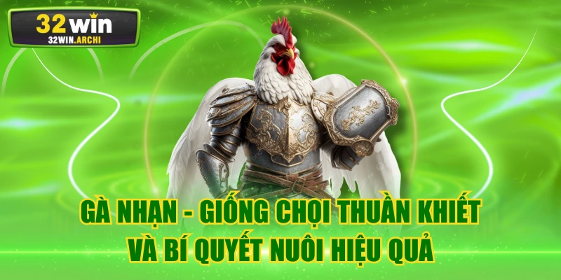 Gà Nhạn - Giống Chọi Thuần Khiết Và Bí Quyết Nuôi Hiệu Quả