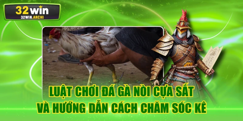 Luật Chơi Đá Gà Nòi Cựa Sắt Và Hướng Dẫn Cách Chăm Sóc Kê