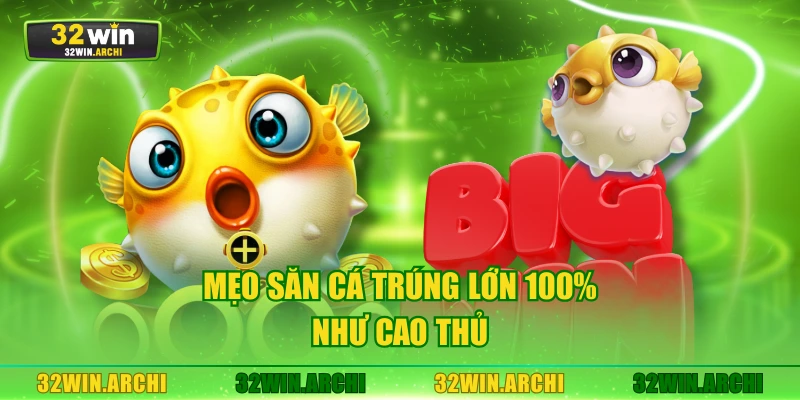 Mẹo săn cá trúng lớn 100% như cao thủ
