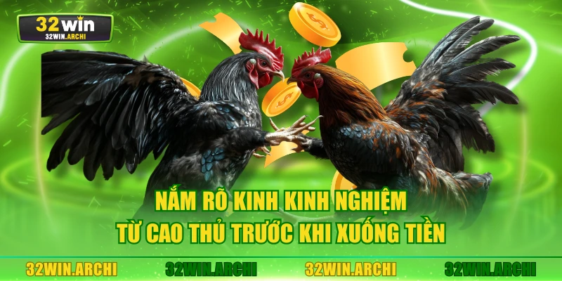 Nắm rõ kinh kinh nghiệm từ cao thủ trước khi xuống tiền