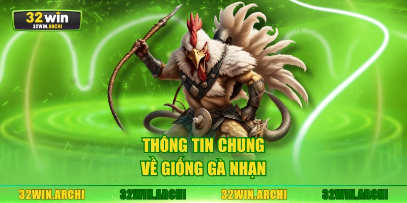 Thông tin chung về giống gà nhạn