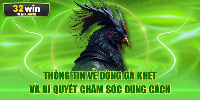 Thông Tin Về Dòng Gà Khét Và Bí Quyết Chăm Sóc Đúng Cách