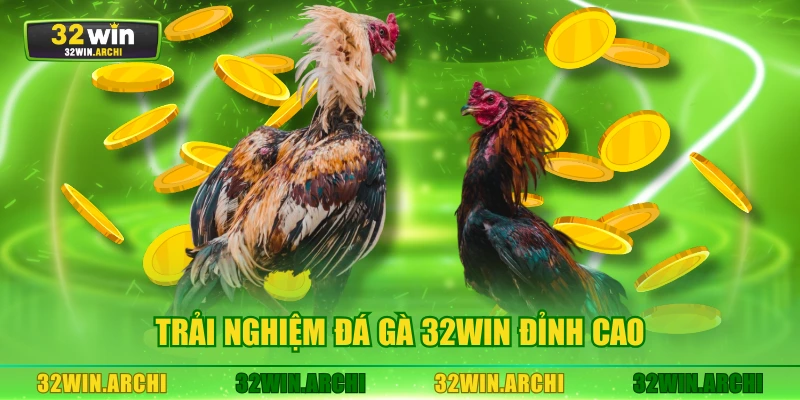 Trải nghiệm đá gà 32WIN đỉnh cao